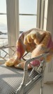 IR 02-02B - Hanami genser - lys gul - Soft - strikkepakke thumbnail