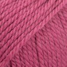 8910 - bringebær rose thumbnail