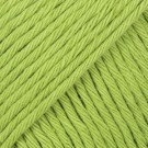 39 - wasabi thumbnail