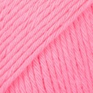 33 - rosa thumbnail