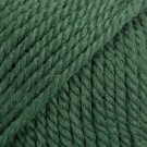 8921 - mørk eføy thumbnail