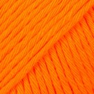 13 - orange thumbnail