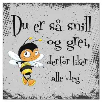 Kort - Du er så snill og grei...