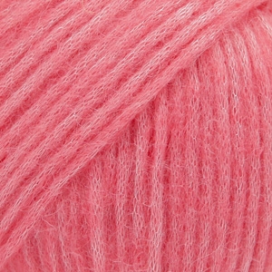 20 - rose